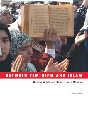 cover image of Between Feminism and Islam